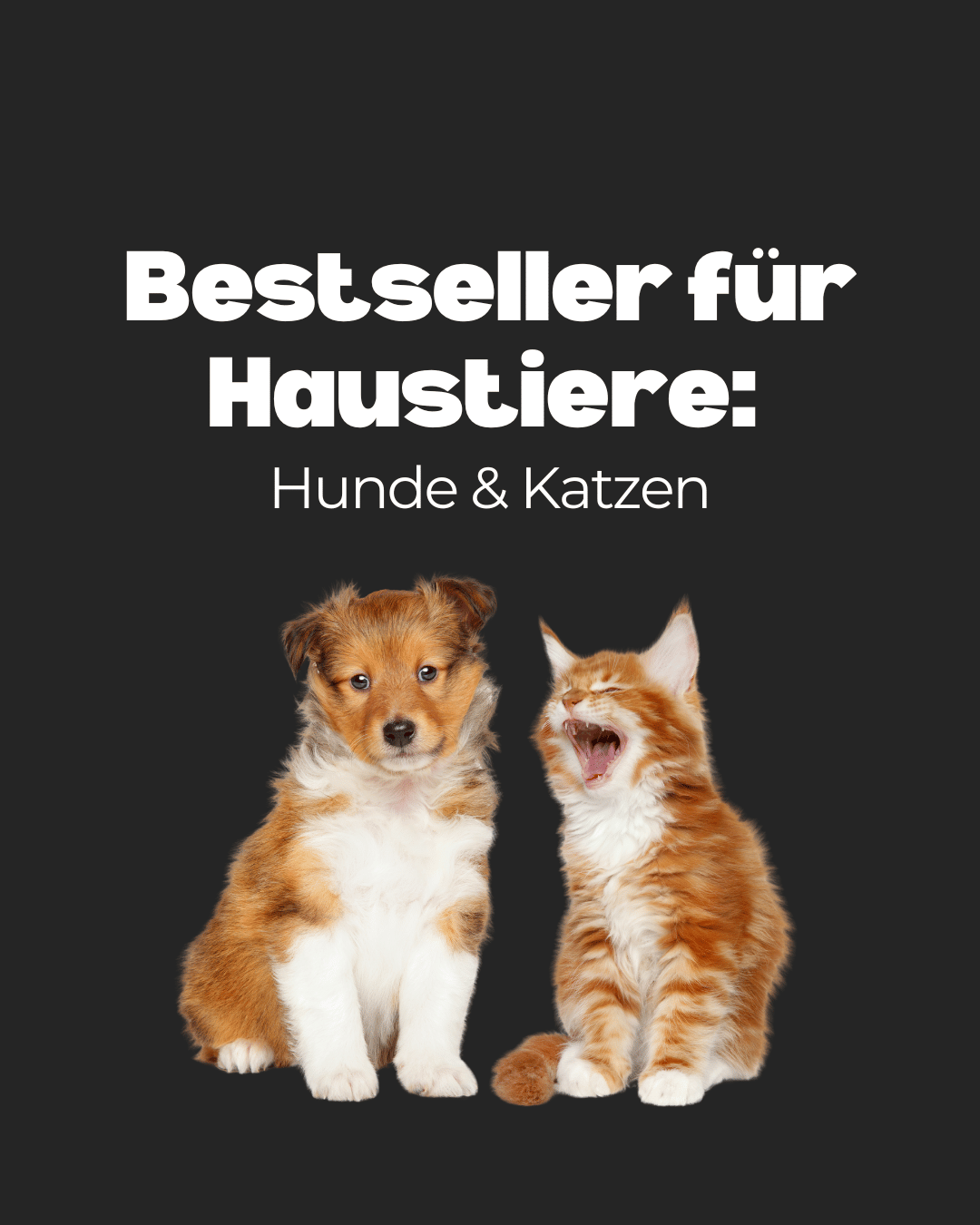 Bestseller für Haustiere: Hunde & Katzen
