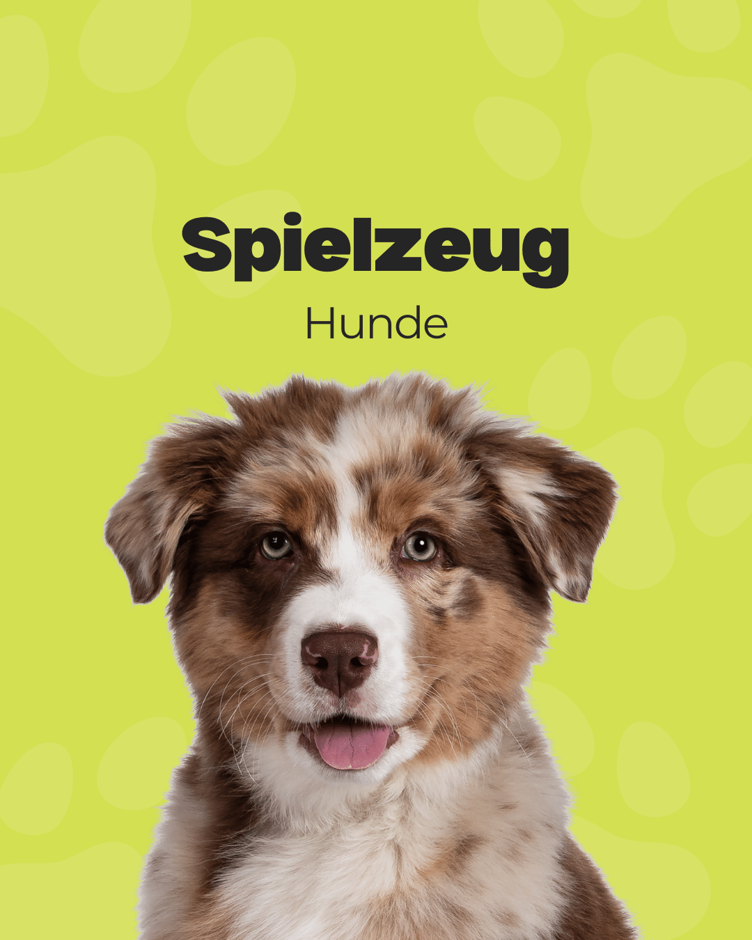 Hunde: Spielzeug