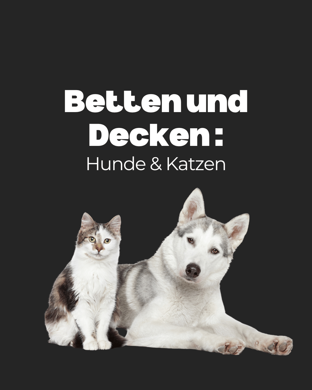 Betten und Decken :  Hunde & Katzen